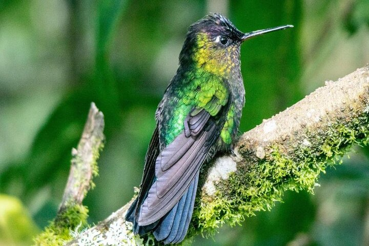 Birdwatching hiking tour - Photo 1 of 14